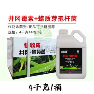 批银收成桶装井冈蜡芽菌杀菌剂井蜡芽水稻纹枯病草莓红肿根腐病药