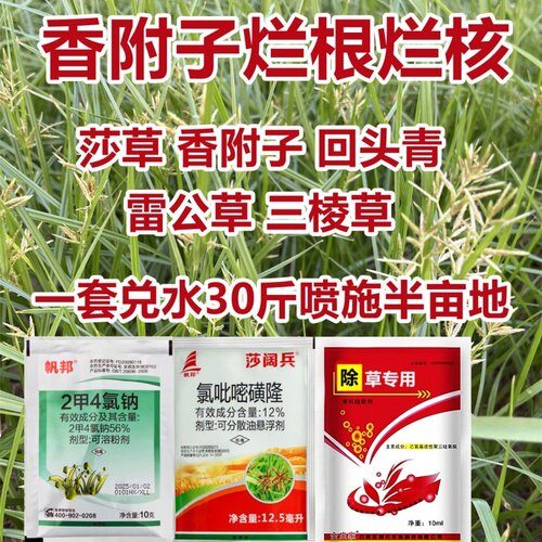 专打香附子除草剂香付子氯吡嘧磺
