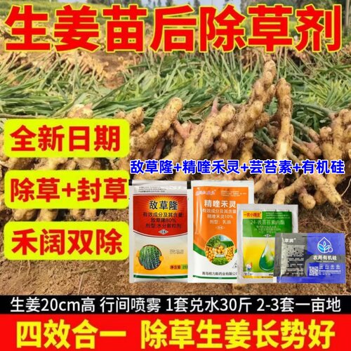 生姜苗后专用除草剂生姜杂草