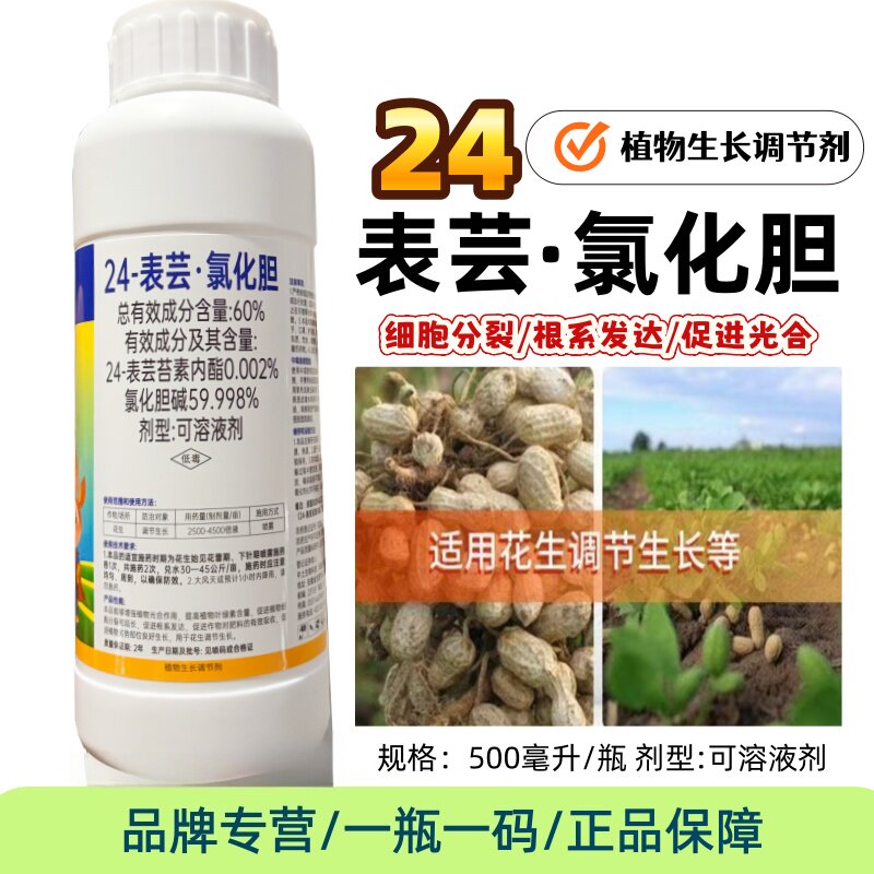 60%24-表芸苔素内酯·氯化胆碱