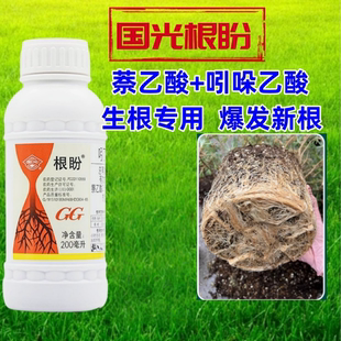 国光根盼 5%吲丁萘乙酸 吲哚乙酸生根剂生长调节剂促发须根壮主根