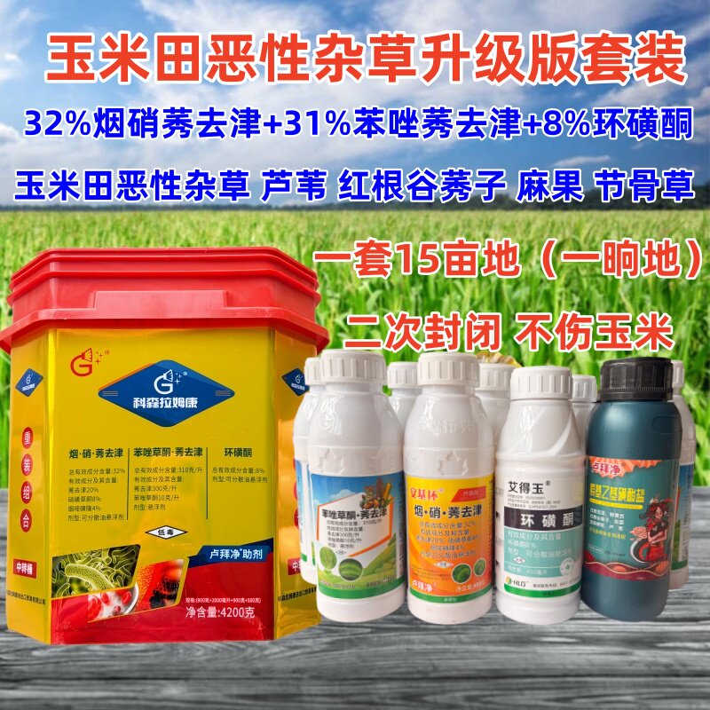 玉米地芦苇除草剂一桶一晌地