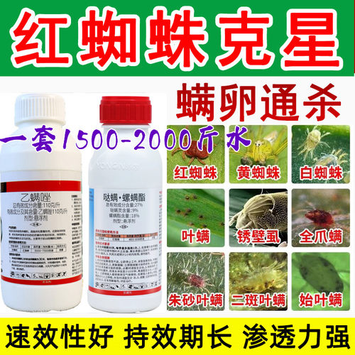 柑橘红蜘蛛专用药螺螨酯丙溴磷
