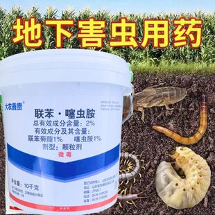 大桶装颗粒剂联苯噻虫胺跳甲蔗龟蓟马白飞虱土蚕蛴螬花生小麦杀虫