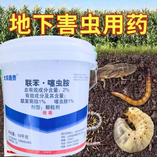 大桶装颗粒剂联苯噻虫胺跳甲