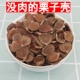 精选无肉板栗壳假栗子壳扁板粟 干粟子壳栗假子没有肉 扁甘栗药