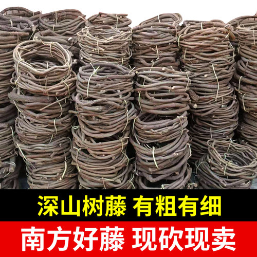 红山藤藤蔓造景仿真苔藓树枝造景