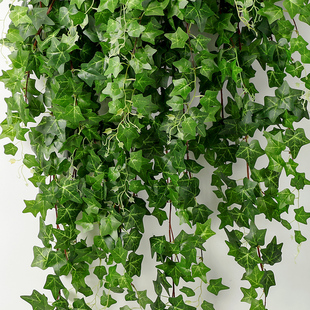 仿真长春藤假花藤条装 饰遮挡挂墙壁绿植壁挂植物吊兰藤蔓爬山虎叶