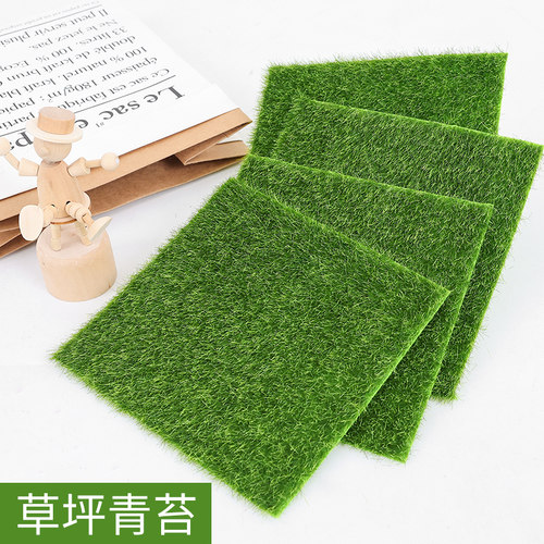 青苔植物微景观盆栽生态瓶草坪垫