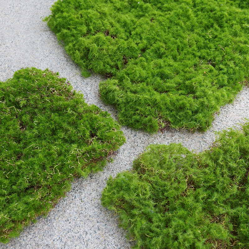 苔藓皮苔藓块青苔植绒摆件软装造景假山草皮草坪毛石头仿真苔藓块 鲜花速递/花卉仿真/绿植园艺 仿真绿植 原图主图