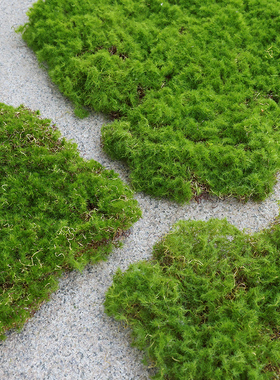 苔藓皮苔藓块青苔植绒摆件软装造景假山草皮草坪毛石头仿真苔藓块