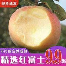 苹果冰糖心水果当季新鲜红富士整箱包邮应季现摘丑苹果平果10斤