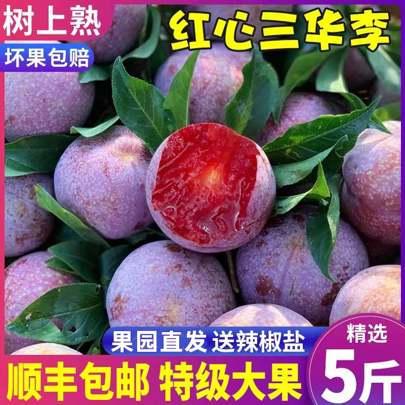 顺丰广东三华李新鲜水果红心李子当季孕妇酸脆前排非广西3包邮5斤