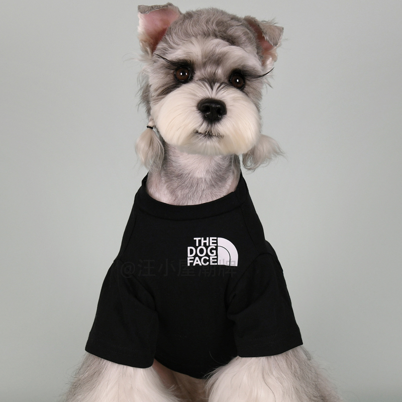 大中小型犬衣服潮牌时尚短袖百搭
