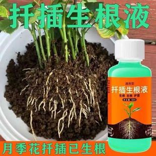 扦插生根液通用型月季长寿花家庭园艺植物花卉果树枝条快速生根剂