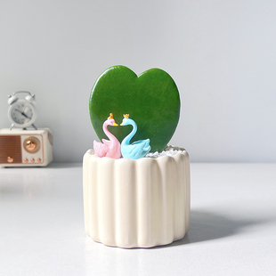 一片心室内绿植净化空气桌面美观好养心叶球兰北欧风解压懒人盆栽