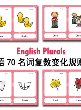儿童英语语法plural名词复数不规则形式变化规则卡片70组点读有声
