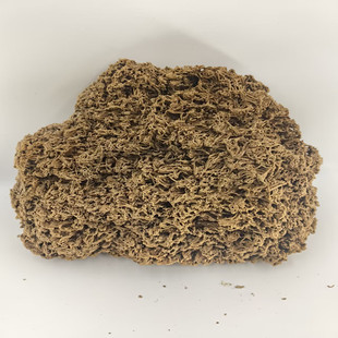 吸水石天然原石盆景鱼池鱼缸真石头装饰造景摆件植物上水石假山石