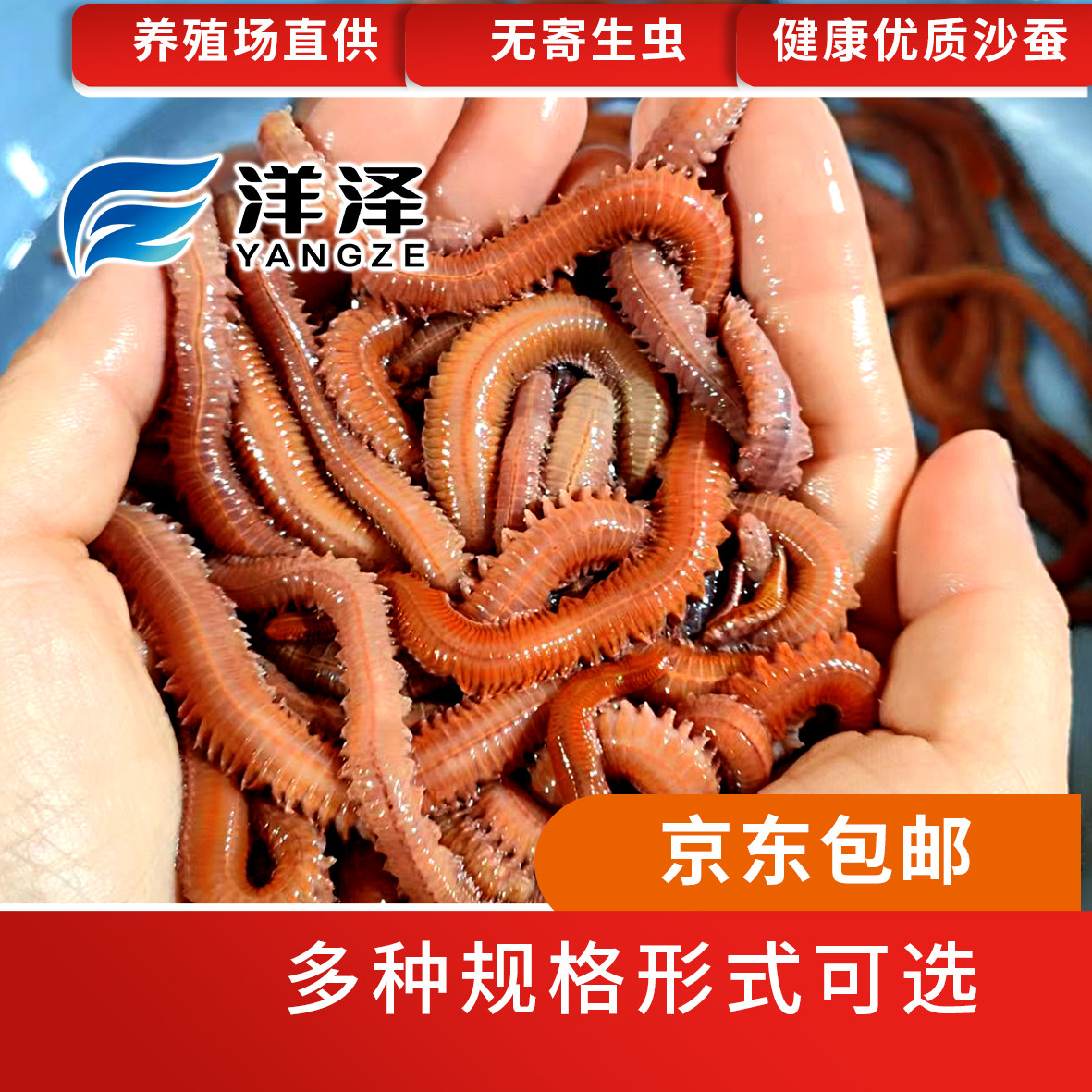 喂宠喂鱼、喂龟、钓鱼、养殖
