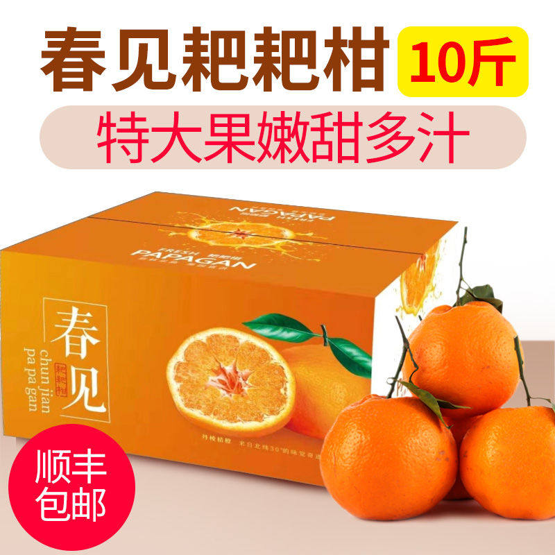 四川丹棱春见耙耙柑当季新鲜丑八怪整箱特级大果丑柑10斤粑粑柑橘