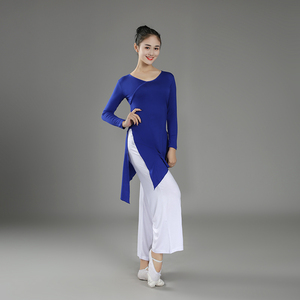 莫代尔形体古典舞蹈服女老师专用现代舞身韵练功服上衣演出服飘逸