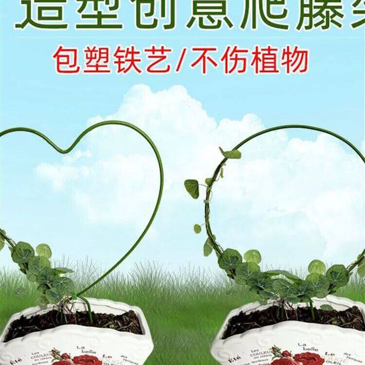 室内铁艺圆形心形雪莹山乌龟甲龙蝴蝶兰造型花架爬藤架子植物支架