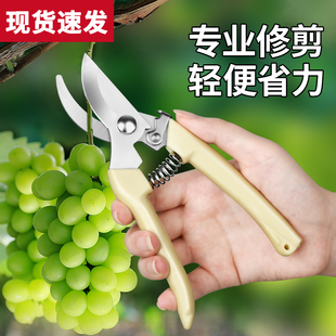 修枝剪果树修枝剪刀园艺剪刀修剪花卉剪刀修花剪刀家用剪枝工具