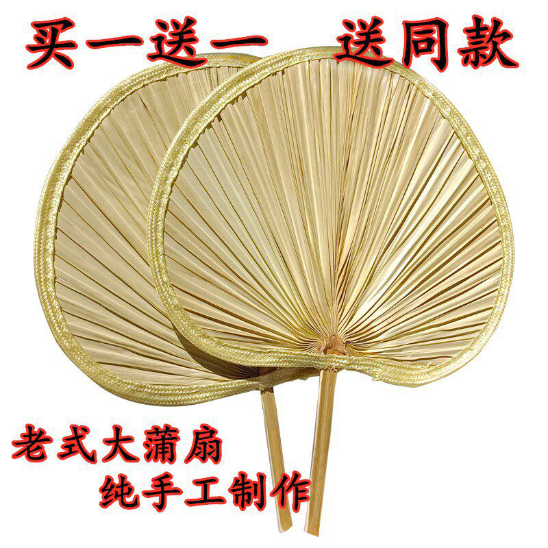 扇子大蒲扇芭蕉扇济公扇葵扇图片