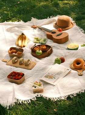 野餐垫防潮垫野餐布户外露营白色毯子沙滩垫帐篷地垫法式海边拍照