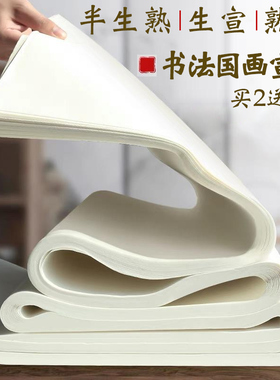 宣纸书法专用纸半生半熟生宣熟宣国画纸四尺整张对开三开半开4尺六三尺6工笔画写毛笔字的练习作品纸小学生