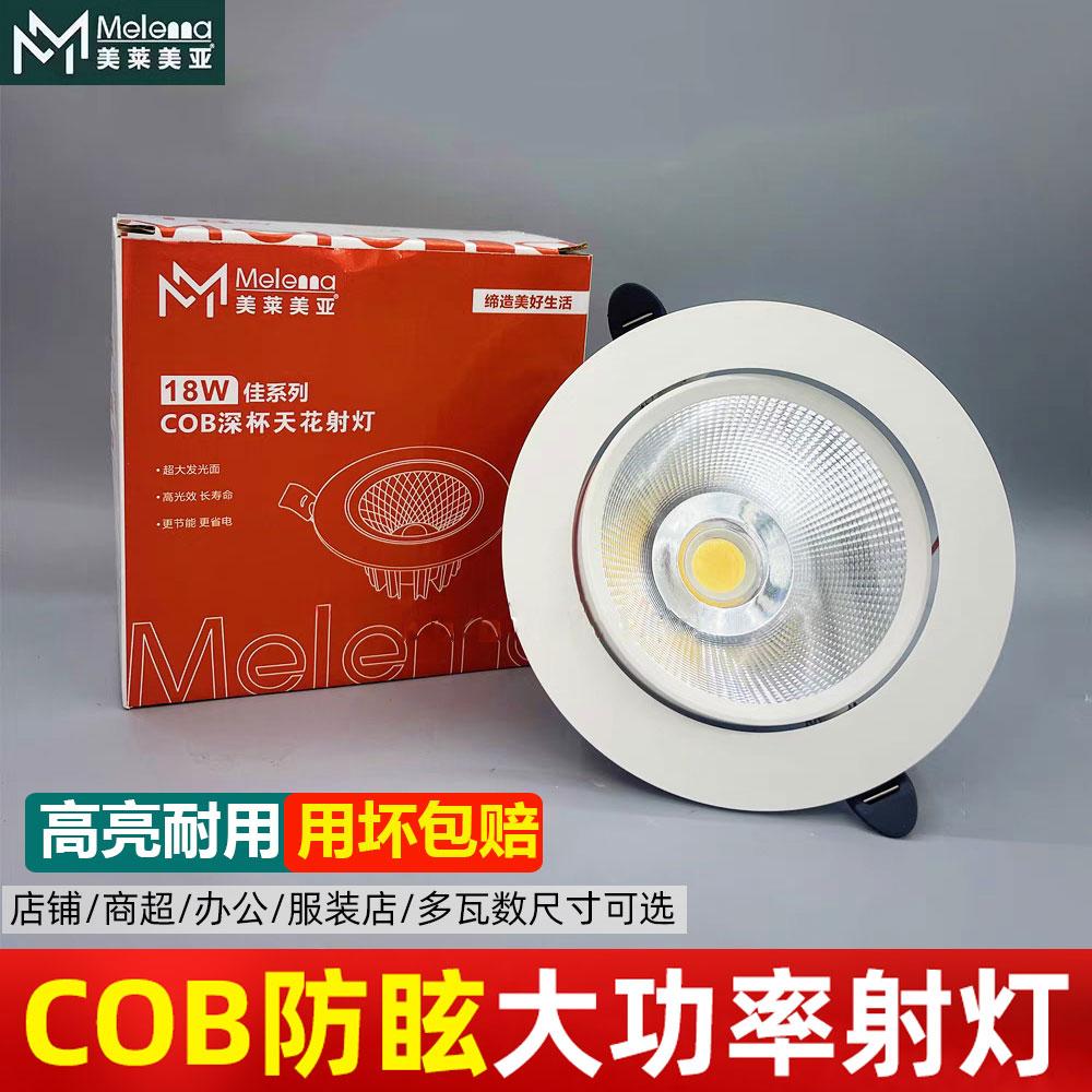 美莱美亚商场店铺COB大功率射灯