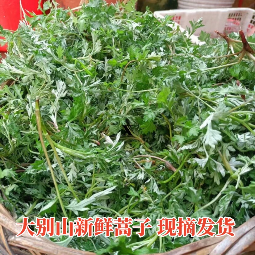 新鲜蒿子安徽霍山野生蒿子白蒿艾蒿蒿草清明果蒿子粑粑原材料2斤