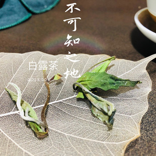 2021新茶寒露茶福鼎白茶秋白露茶贡眉白茶鲜爽甜醇粽叶香350g