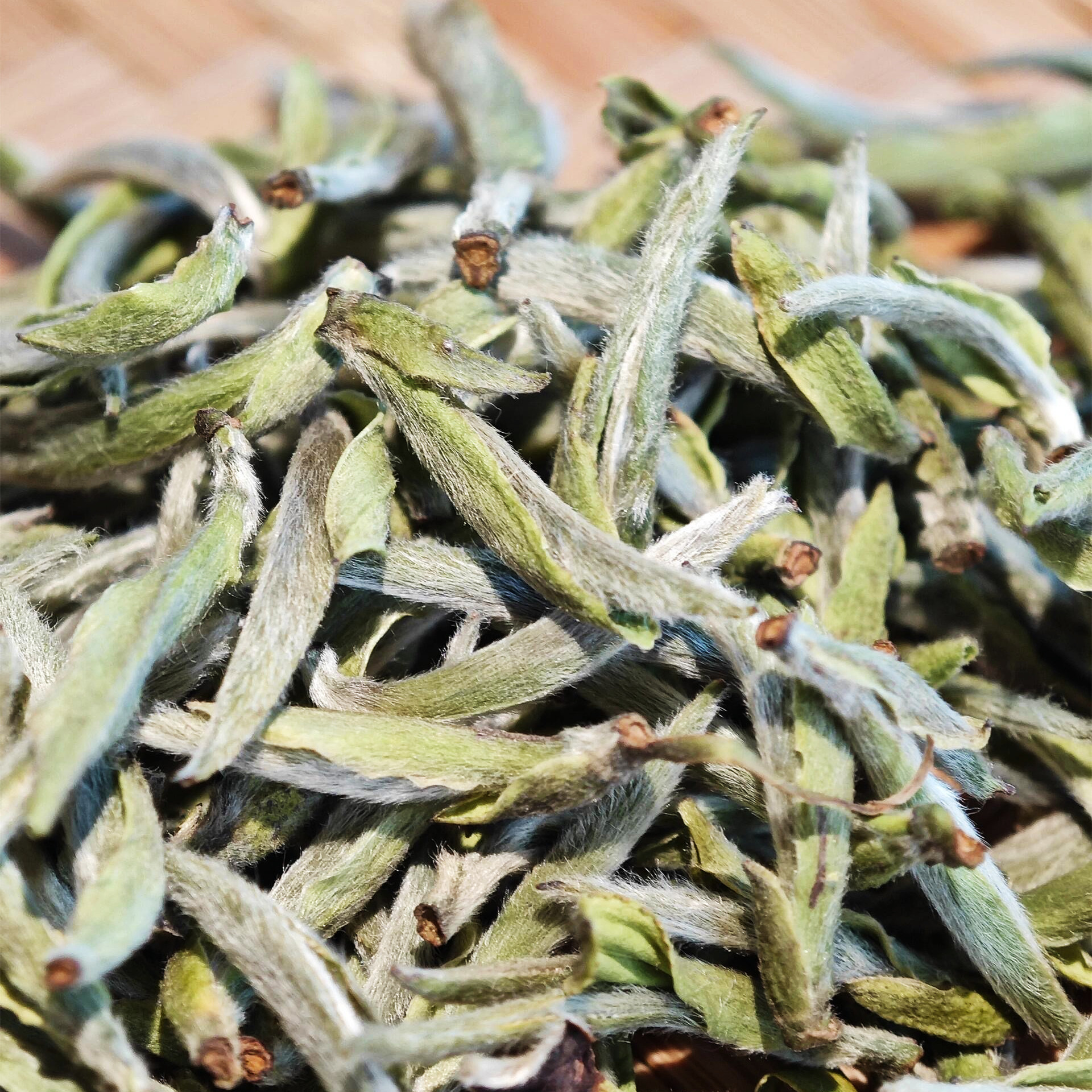 蝶慕幽香白毫银针官方推荐