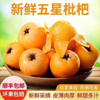 顺丰京东 龙泉枇杷正宗四川成都龙泉大五星枇杷新鲜现摘基地直发