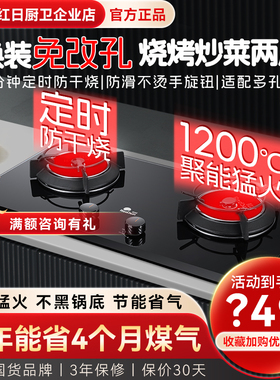 Redsun/红日 EX16B红外线燃气灶家用双灶台嵌煤气灶定时免改孔