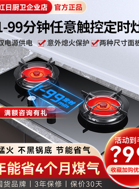 红日红外线燃气灶双灶家用高热效智能定时灶防干烧双灶EM608B/BP