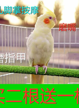 磨砂站棍鹦鹉磨爪棒鸟杆玄凤虎皮牡丹磨砂棍鸟笼站杆小鸟鹦鹉磨嘴