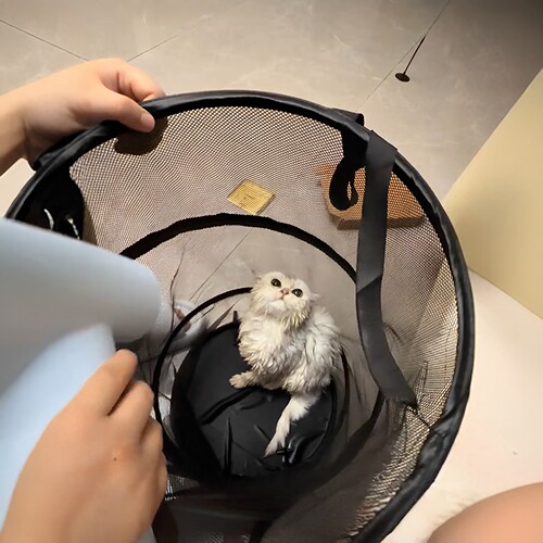 邪修版宠物烘干箱大号圆筒网纱桶猫狗通用快速吹干防止猫毛发乱飞