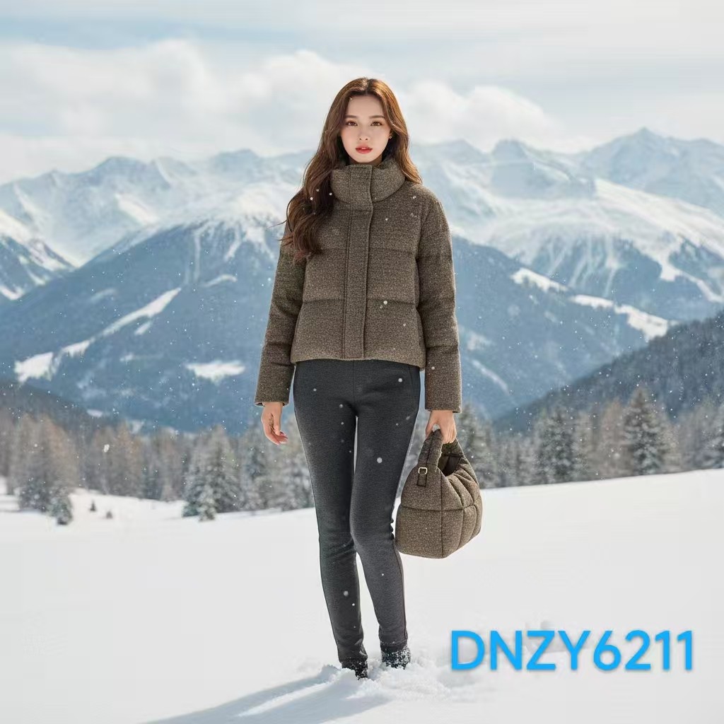 【二米粉丝专享】新品立领质感超好羊毛面料鹅绒服DNZY6211