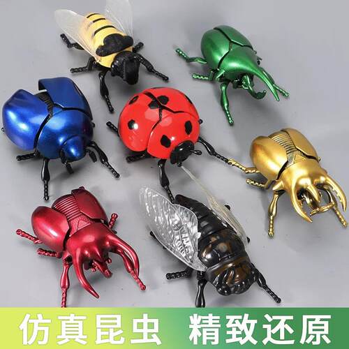 创意上链条甲虫仿真甲壳虫发条昆虫模型爬行玩具会跑男孩儿童宝宝