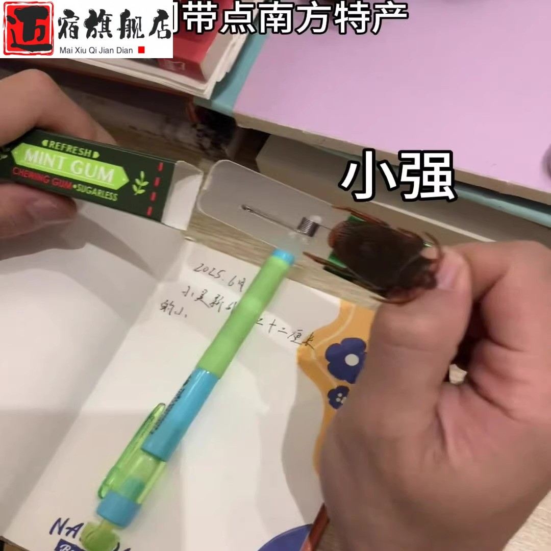 吓人蟑螂口香糖创意恶搞整蛊整人玩具吓一跳新奇趣味搞笑解闷玩具