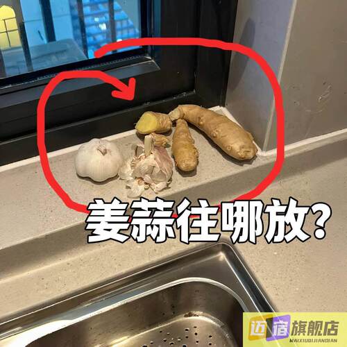 厨房葱姜蒜收纳盒生姜大蒜壁挂置物架收纳筐挂篮吸盘微波炉清洁器