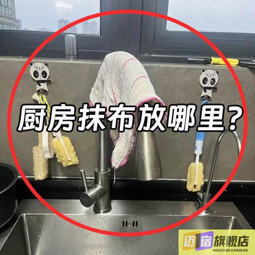 吸盘抹布架厨房窗台多杆置物架壁挂式水槽沥水架卫生间管道清洁棒