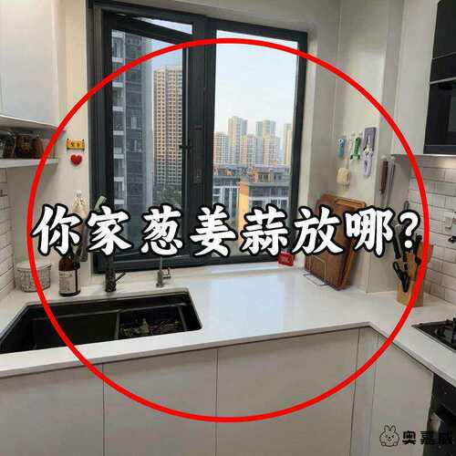 厨房葱姜蒜收纳盒吸盘置物壁挂生姜大蒜收纳挂篮免打孔壁式收纳盒