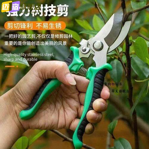 花艺专用剪刀园林不锈钢省力果树修枝剪花剪粗枝剪园艺工具树枝剪