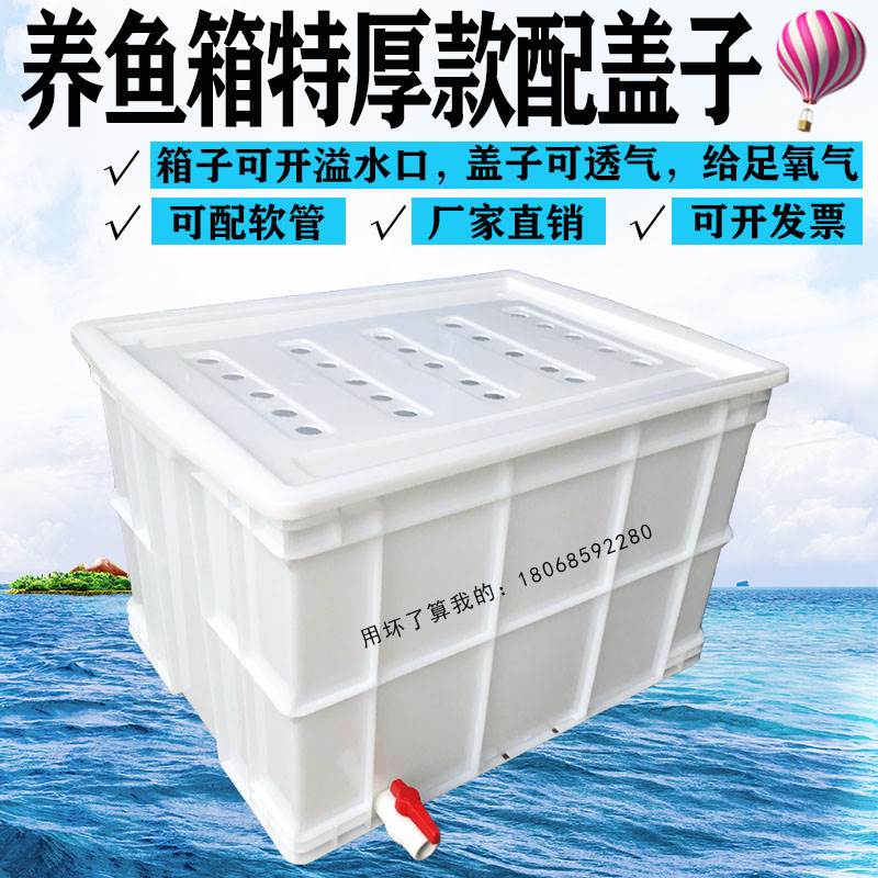 带盖特大号养鱼龟箱带排水阀开透气孔塑料箱水产养殖周转箱带软管