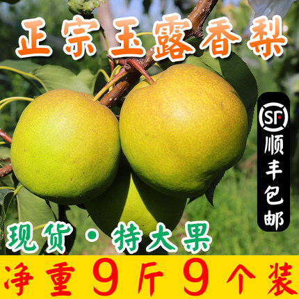 顺丰【地理标志产品】山西玉露香梨雨露梨子新鲜孕妇水果脆甜多汁