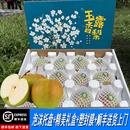 2025年山西玉露香梨雨露梨子新鲜孕妇水果大果脆甜多汁顺丰