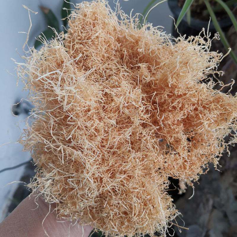 太行崖柏百年香料特殊工艺制作抽丝粉块适合熏香制作香包靠枕枕头